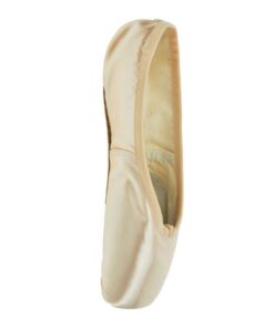 Bloch Pointe Shoes